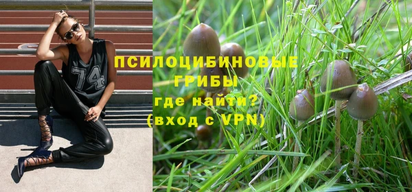 индика Баксан