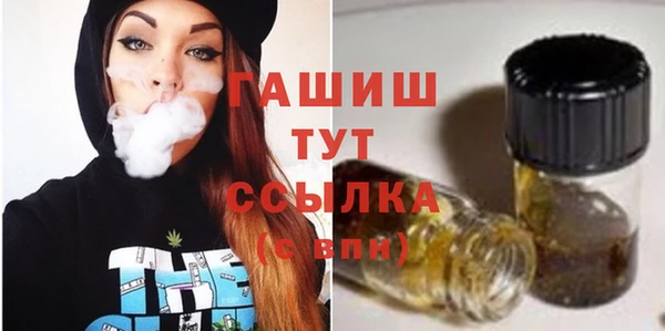 индика Баксан