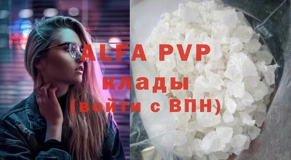 индика Баксан