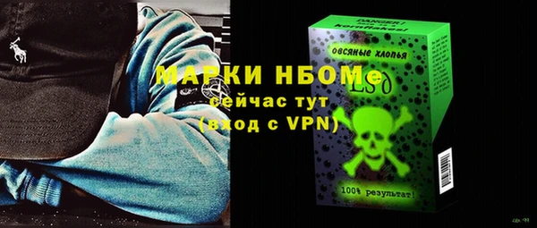 индика Баксан