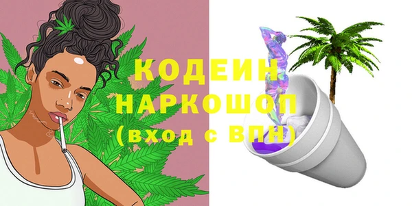 индика Баксан
