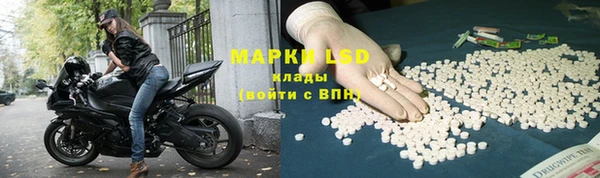индика Баксан